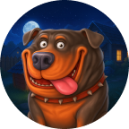 Bruger af top online casinoer Danmark